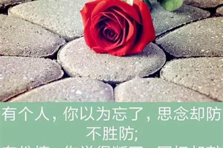 冬至前三天交运是三天还是一天冬至前三天交运是三天都算吗
