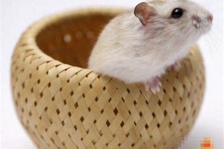 八月十五祭祀有什么讲究