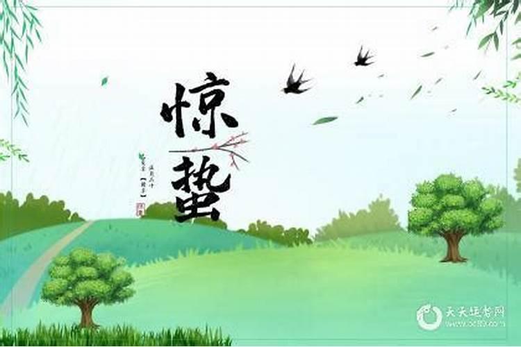 新坟清明节可以祭拜吗