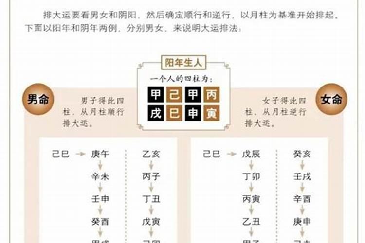 属羊2025年全年运势及运程