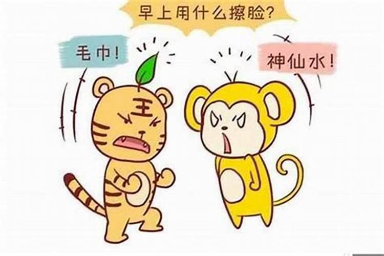属虎男最佳婚配属相