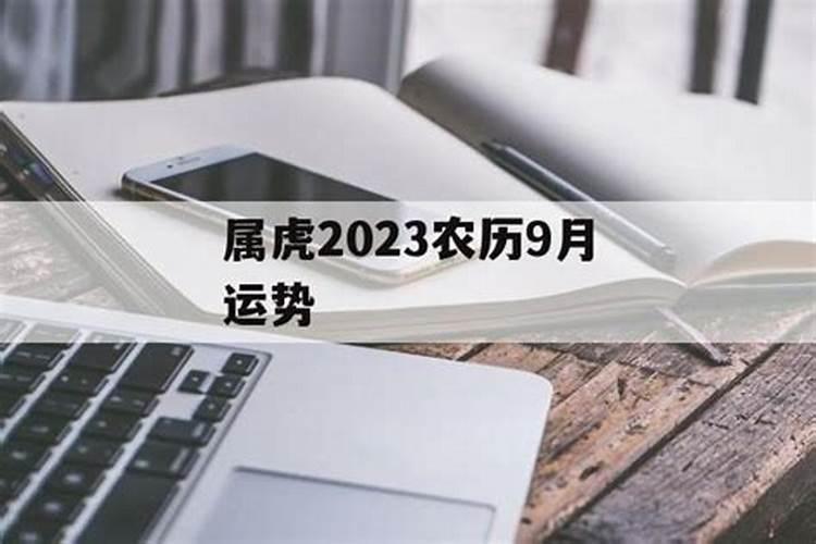 2025属虎人每月运势及运程如何