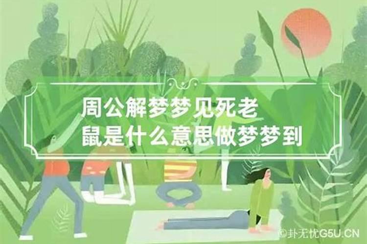 梦见死老鼠是什么意思