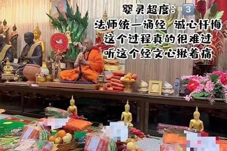 1959年出生属猪人2023年运势及运程