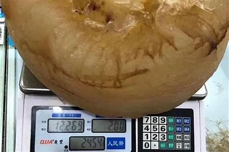 如何食用太岁