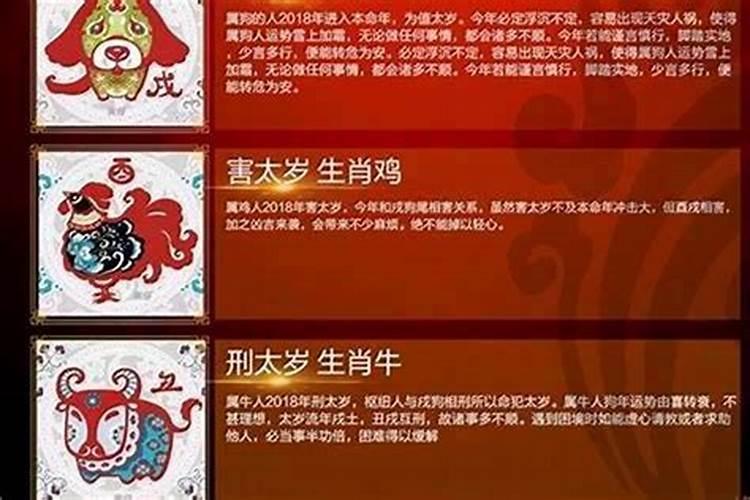 属鸡人2025全年运势 属鸡人2025年每月运势