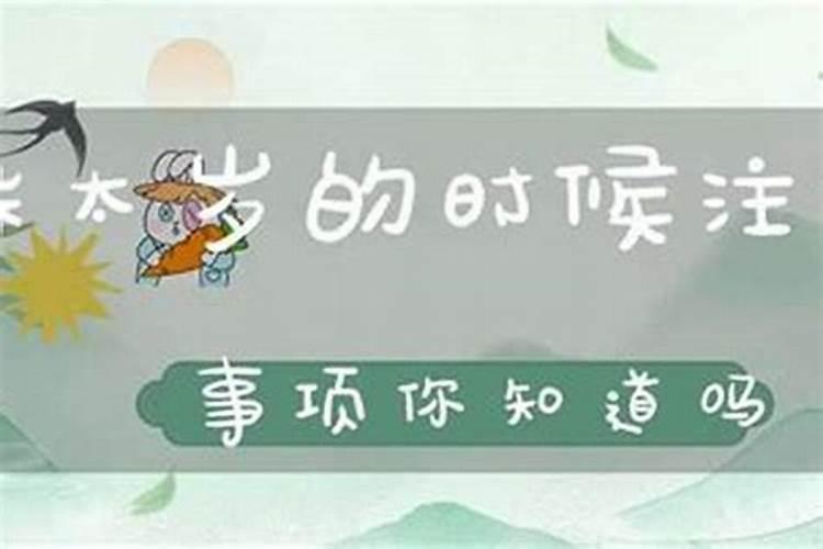 男人八字没有财星怎样看配偶？