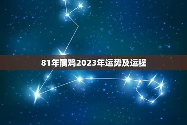 属鸡人2025年走大运