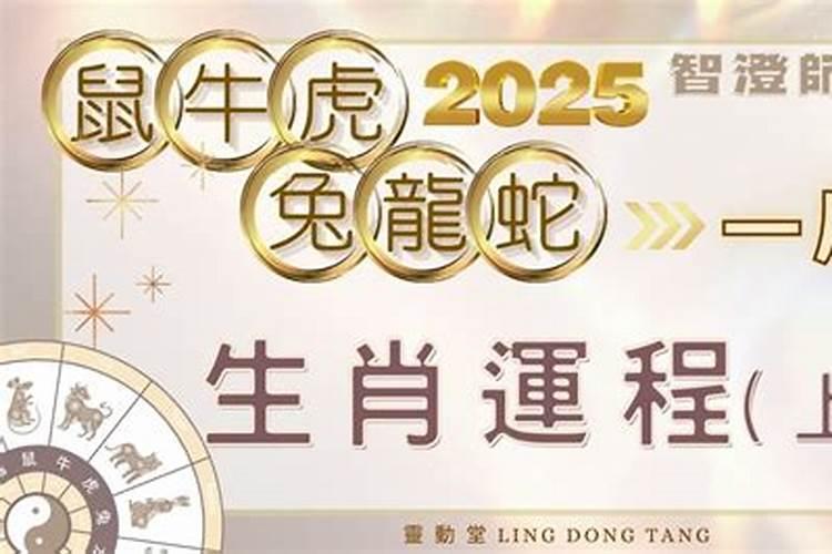 虎年属猪人的运势如何 虎年属猪人的运势怎样