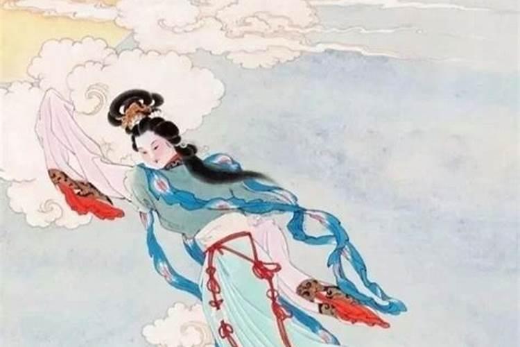 95属猪的和什么属相的在一起最好
