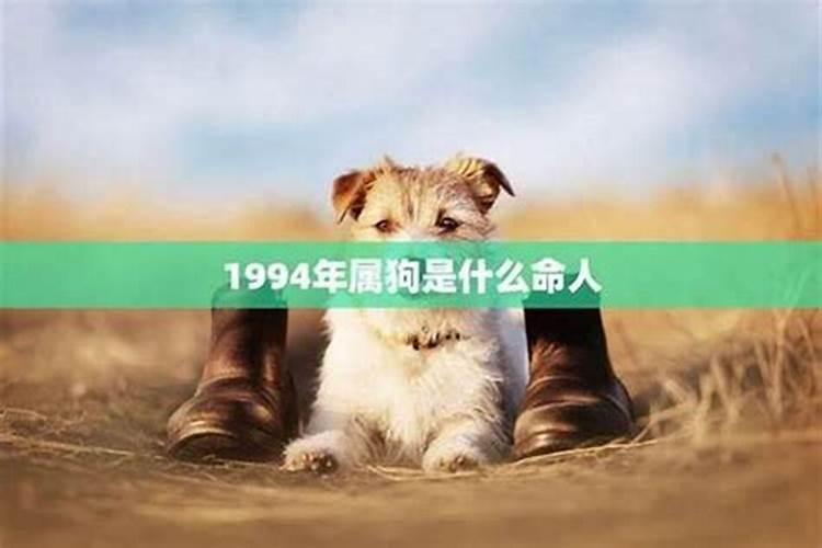 2025属猴人全年12个月运势