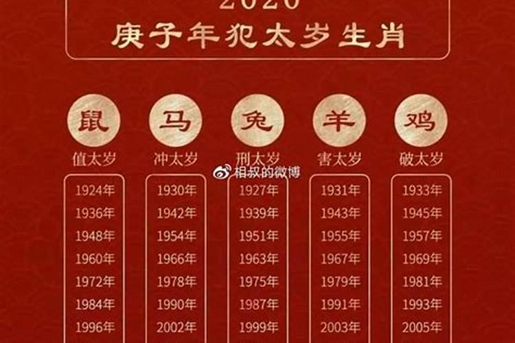 梦见狗追着咬我是什么意思