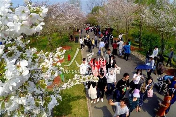79年属羊46岁2025年运势如何