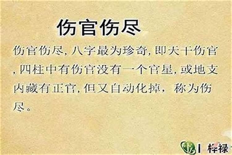 十月初一送寒衣哪天烧纸最好