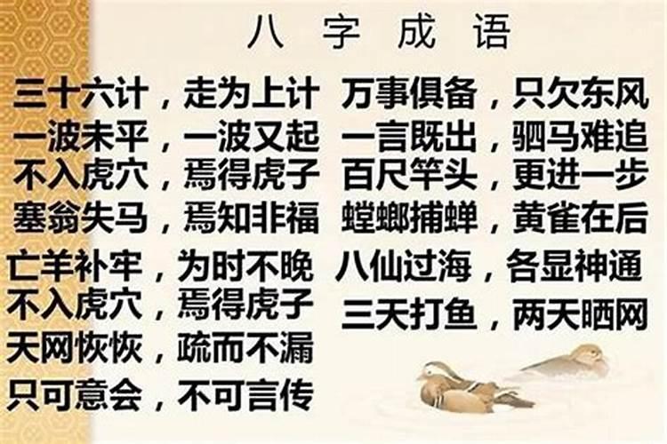 八字[bā zì]什么意思？近义词和反义词是什么？英文翻译