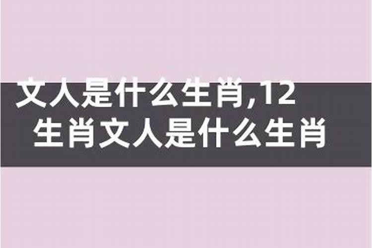 12个生肖中共有49个号码,各分别的号码是什么？
