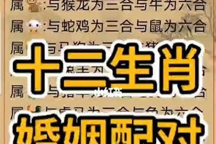 十一月初一出生女命硬,初一出生的女生命运如何？
