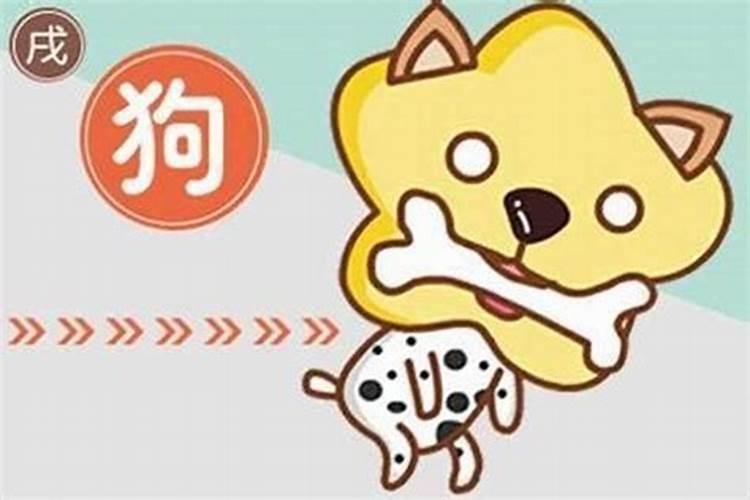 82年属狗36岁以后的一生命运,82年出生属狗人的命运