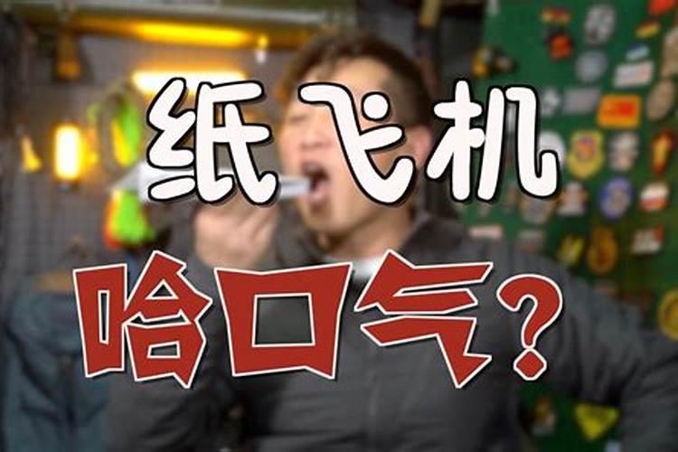 属马和属马的适合做夫妻吗