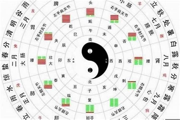 解析属蛇农历二月份出生的命运如何