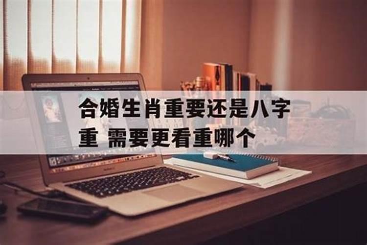 合婚生肖重要还是八字重 需要更看重哪个？