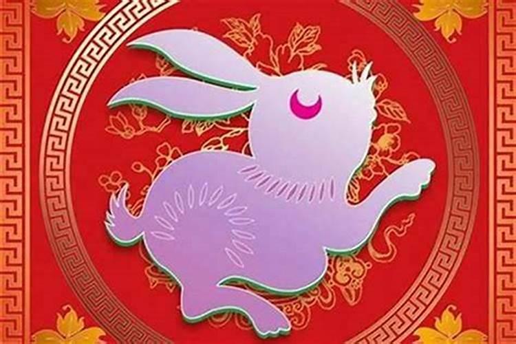 1999年兔女配什么婚姻好,99年兔和什么生肖最配