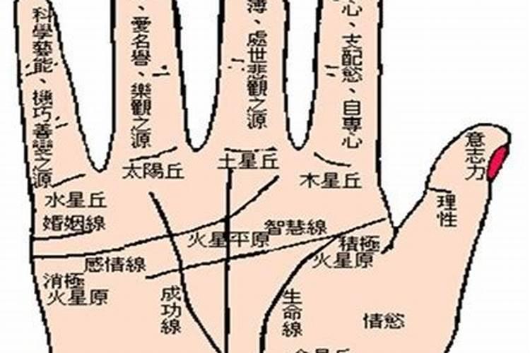 从手相看你的事业运好不好