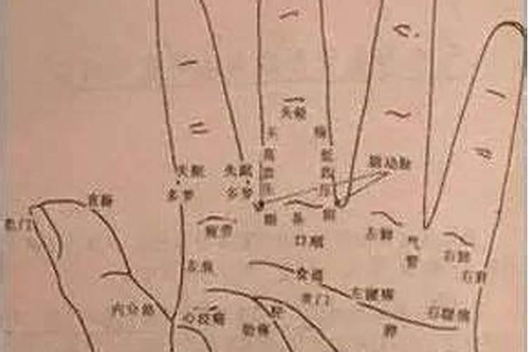 四月羊很有福 几月出生属羊富豪命