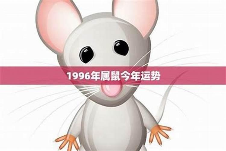 96属鼠一生三大坎 1996年属鼠人最难熬年龄