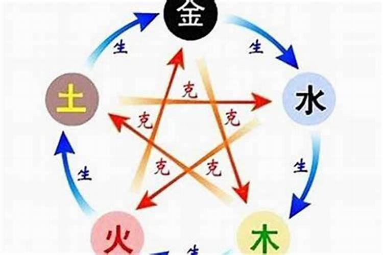 生肖兔2025年运势及运程如何