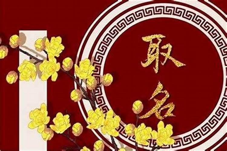 1988年农历5月17日早上5点到6点出生女的什么命？