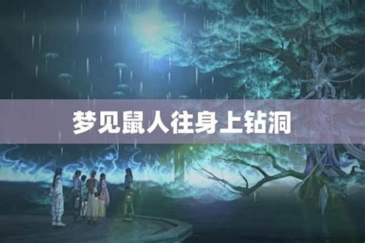 梦见钻老鼠洞是什么意思