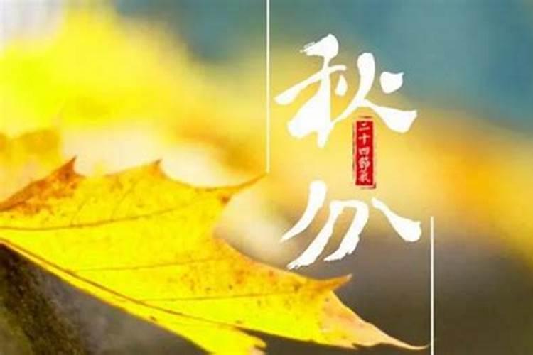 中元节贡品有哪些 中元节上坟带什么祭品