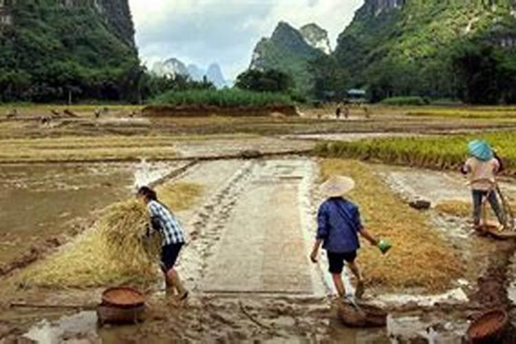 2025年属兔犯太岁吗