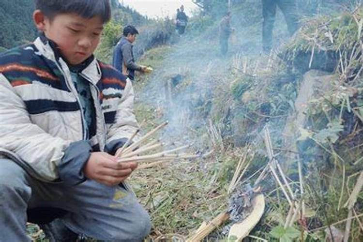 属猪2025年犯太岁怎么化解