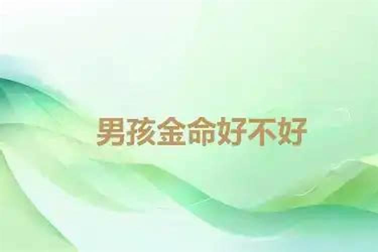 70后属牛的今年多大