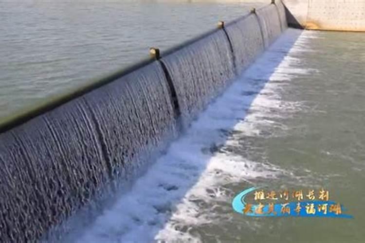 双官八字是什么意思