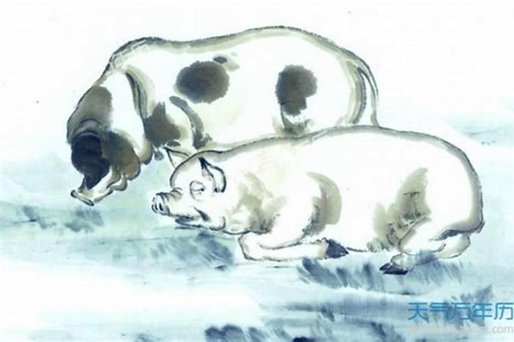 帮我分析下命局.1983年12月1日21:10出生.癸亥年癸亥月癸亥日癸亥时出生...