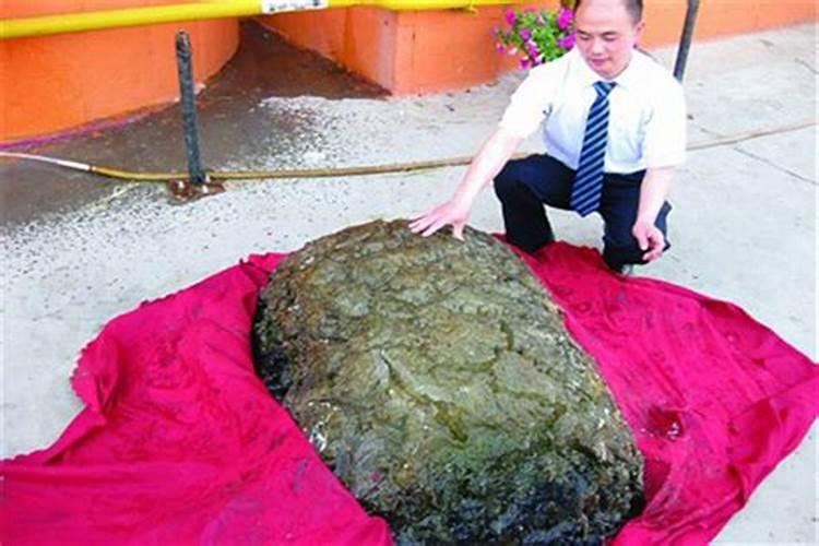 人死以后,土葬好还是火化好？