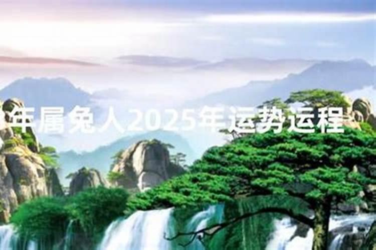 79年属羊未来三年运势2024年到2026年