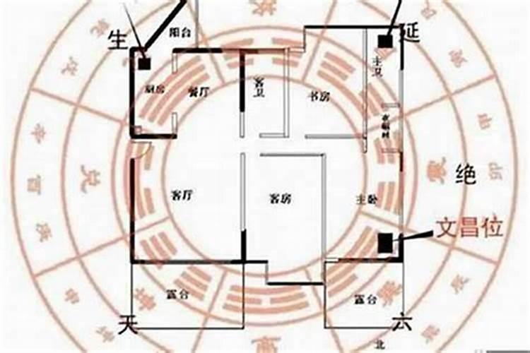 1978年3月初六的女人命运咋样