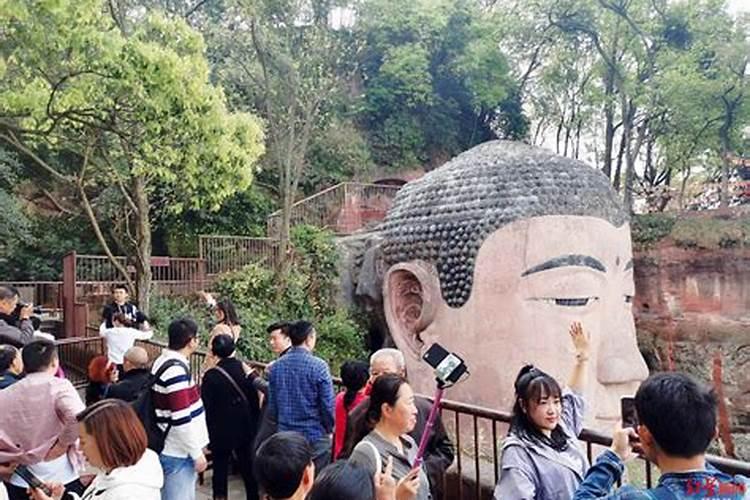 仁者乐山——记乐山大佛峨眉山之行