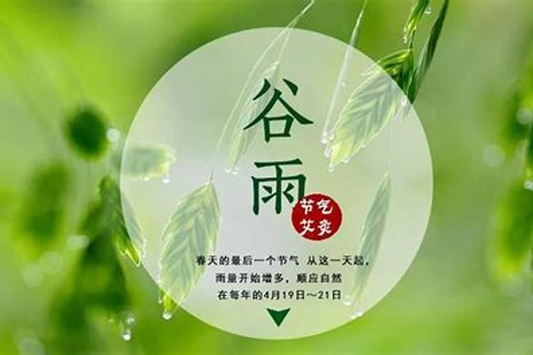 谷雨在前还是清明在前
