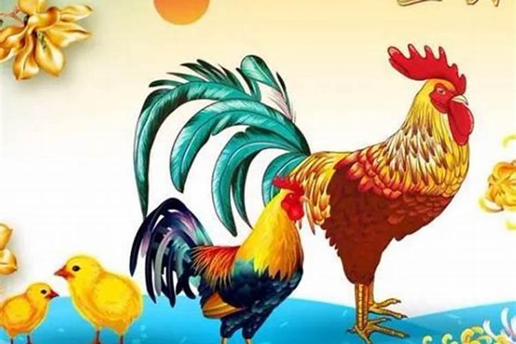 2025属鸡的运势和财运