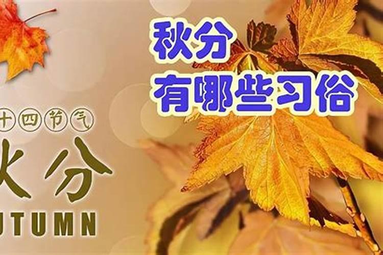 2025年生肖年龄对照表(虚岁)