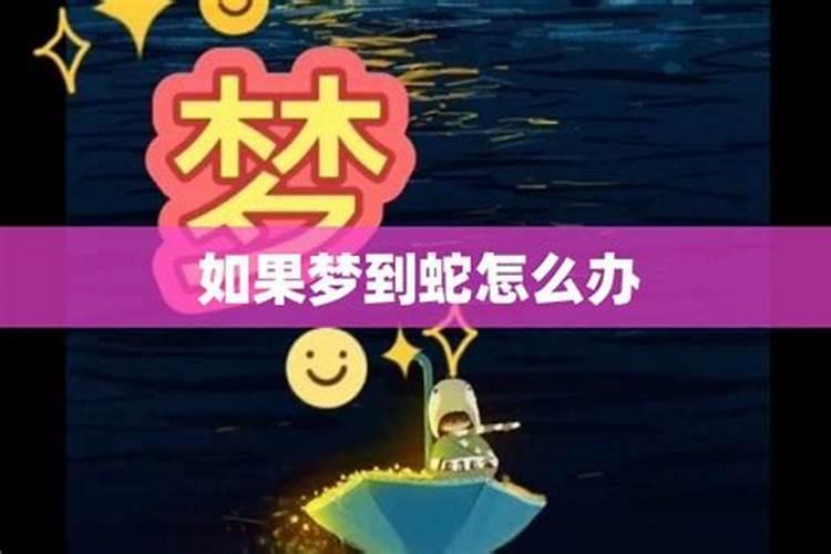 为什么总是梦见蛇 梦见蛇代表什么