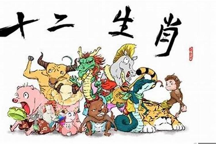 哪些生肖女婚后运势旺