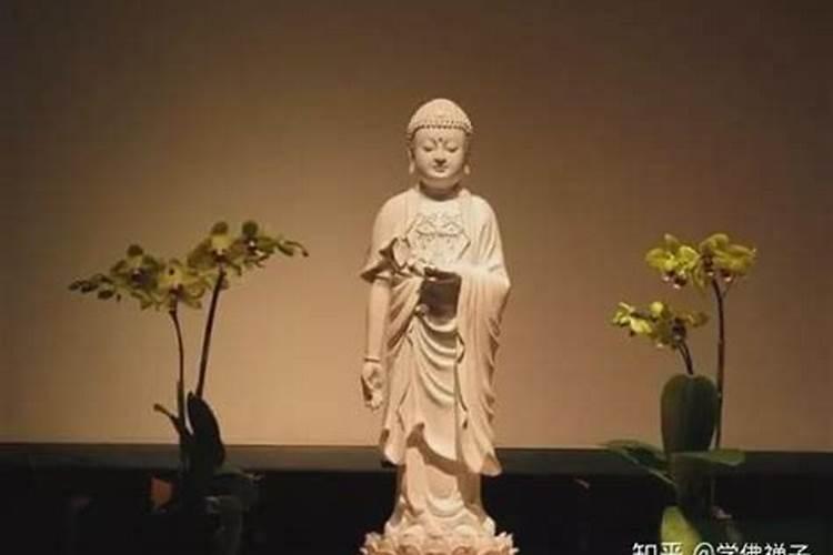 生肖龙2025年运势 属龙2025年运势及运程