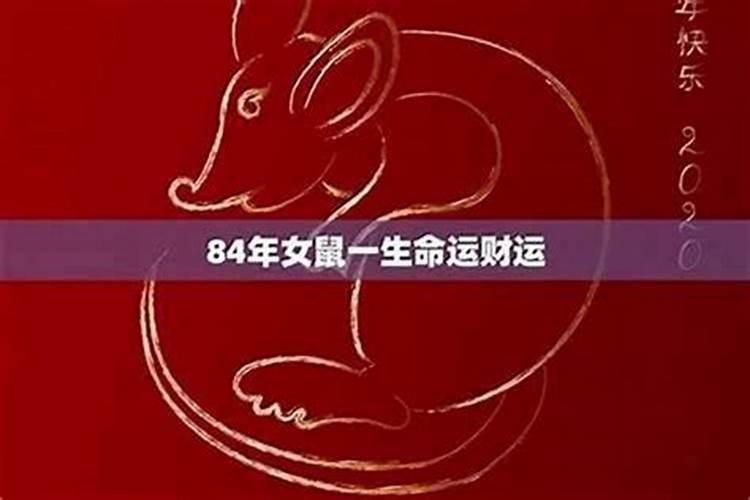 属马1942年出生2025几岁了