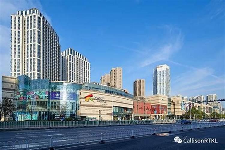 属猪的明年犯太岁吗2025
